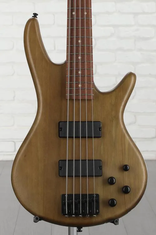 Ibanez Gio GSR205B 5-string Bass Guitar - Walnut Flat Demo