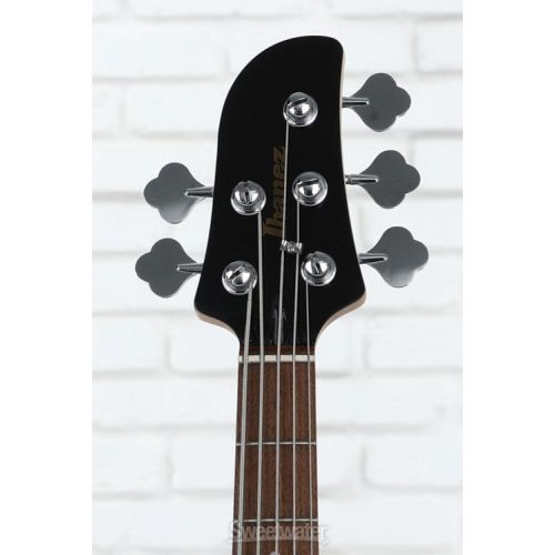  Ibanez Talman TMB105 5-string Bass Guitar - Black