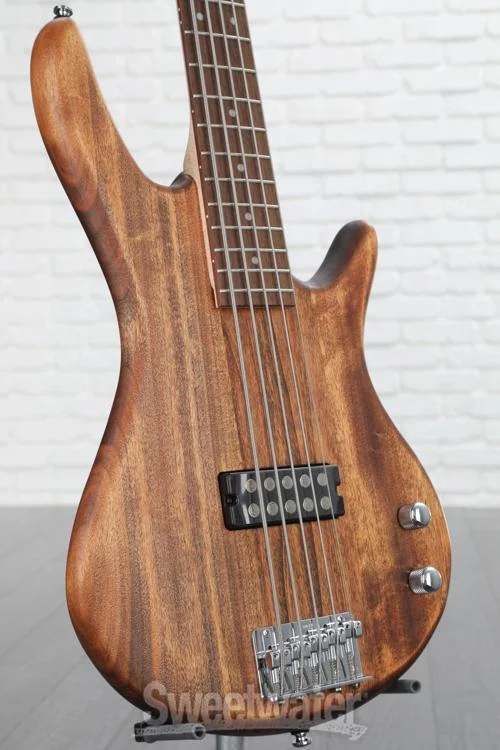  Ibanez Gio GSR105EXMOL 5-string Bass Guitar - Natural