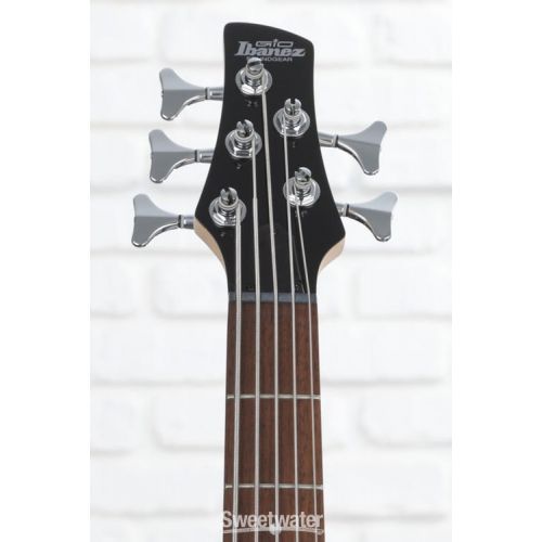  Ibanez Gio GSR105EXMOL 5-string Bass Guitar - Natural