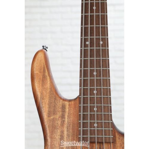  Ibanez Gio GSR105EXMOL 5-string Bass Guitar - Natural