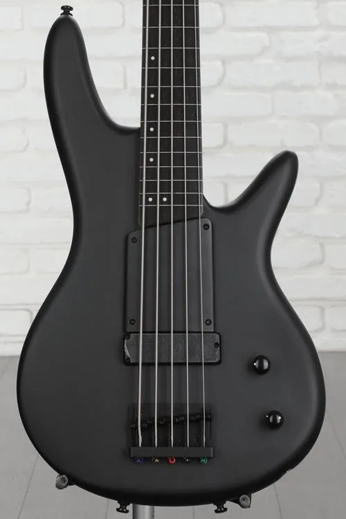 Ibanez Gary Willis Signature GWB35 Fretless 5-string Bass Guitar - Black Flat