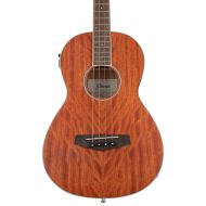 Ibanez PNB14E Acoustic-Electric Bass - Open Pore Natural