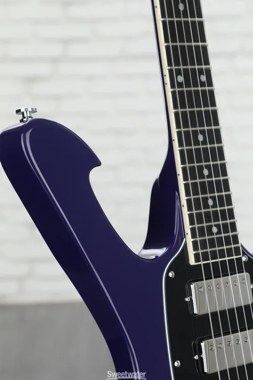  Ibanez Paul Gilbert Signature FRM300PR Electric Guitar - Purple