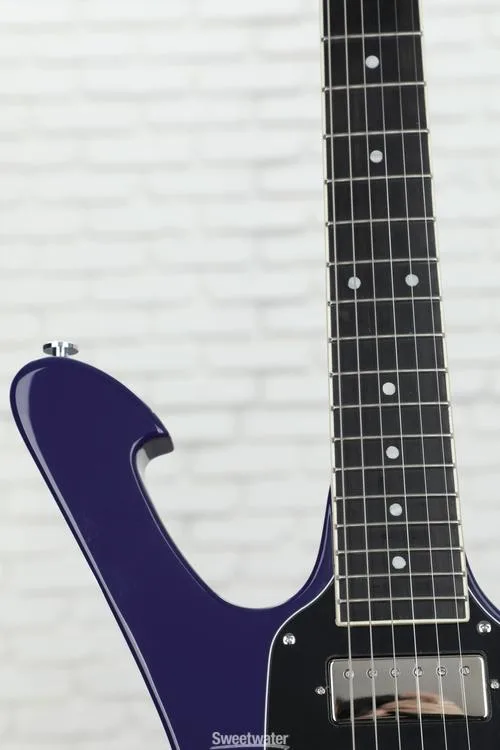  Ibanez Paul Gilbert Signature FRM300PR Electric Guitar - Purple