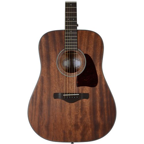  Ibanez AW54 Artwood Series Acoustic Guitar (Open Pore Natural)