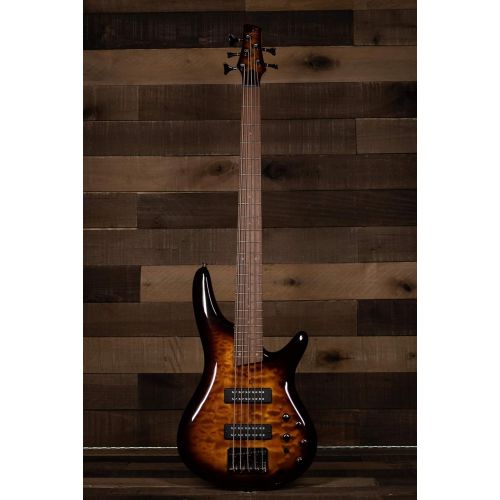  [아마존베스트]Ibanez SR405EQM Quilted Maple 5-String Electric Bass Guitar Dragon Eye Burst