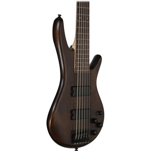  [아마존베스트]Ibanez 6 String Bass Guitar, Right, Natural Gray Burst (GSR206SMNGT)