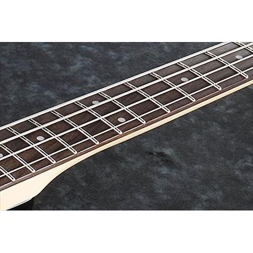  [아마존베스트]Ibanez GSR200Electric Bass Guitar