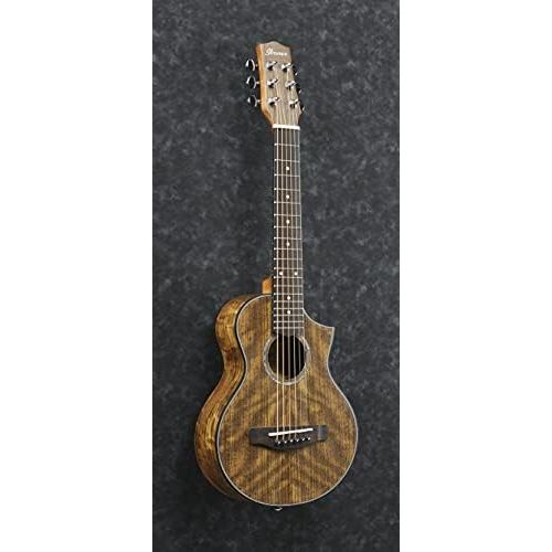  [아마존베스트]Ibanez EWP14WB-OPN · Acoustic Guitar