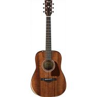 [아마존베스트]Ibanez Open Pore Natural AW54JR