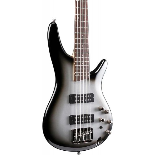  Ibanez SR305E 5-String Electric Bass Guitar (Iron Pewter)