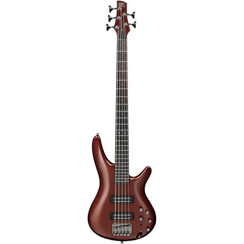  Ibanez SR305E 5-String Electric Bass Guitar (Iron Pewter)