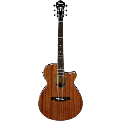  Ibanez AEG12IINT Acoustic-Electric Guitar, Natural Finish