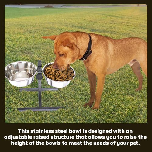  Iconic Pet Elevated Adjustable Height Raised Stainless Steel Pet Food Stand and Bowl Double Diner