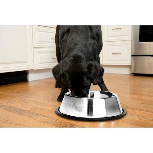  Iconic Pet Stainless Steel Non Skid Pet Food / Water Bowl with Rubber Ring in Varying Sizes - Rust Free, Dog / Cat Feeding Bowl is Dishwasher Safe, Noise Free, Anti Skid and Stable