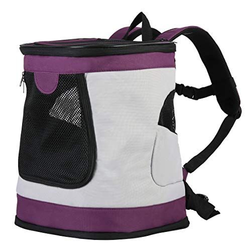  Iconic Pet Foldable Pet Backpack Carrier for Dogs & Catsup to 16 lbs, Magenta/Light Gray