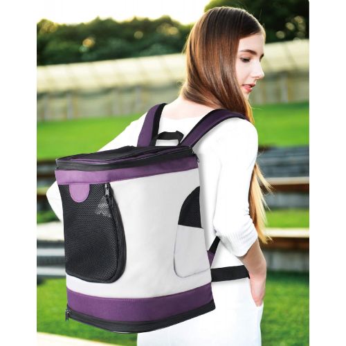  Iconic Pet Foldable Pet Backpack Carrier for Dogs & Catsup to 16 lbs, Magenta/Light Gray