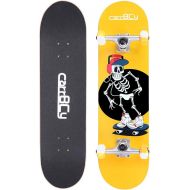 Idea Skateboards,31X 8 Pro Complete Skateboard, 7 Layer Canadian Maple Skateboard Deck for Extreme Sports and Outdoors.