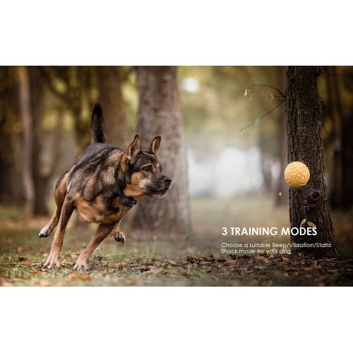  [아마존 핫딜] IeGeek ieGeek Dog Training Collar for 2 Dogs, 1960ft Range Blind Operation Shock Collar with Beep, Vibration, Shock Training Modes, Rechargeable and Waterproof E-Collar for Small, Medium,