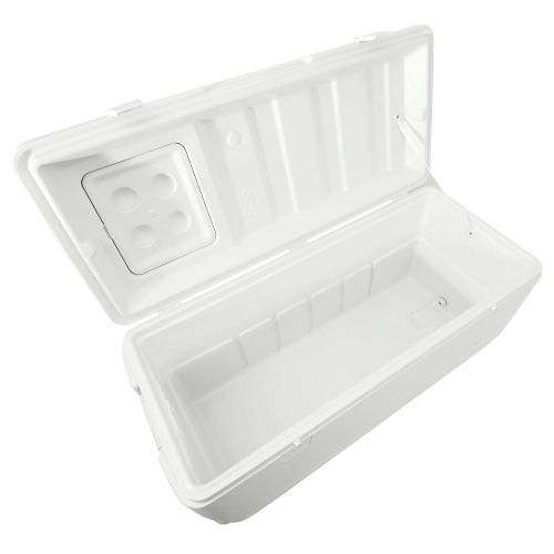  Igloo Quick and Cool Cooler