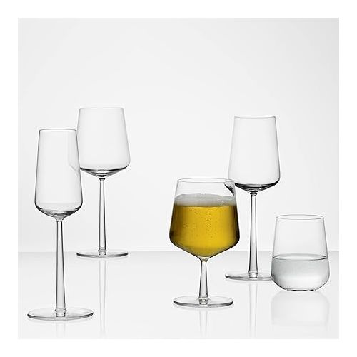  Iittala Essence 11-Ounce White Wine Glass, Set of 2