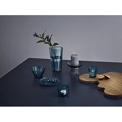  Iittala Alvar Aalto Collection - Pot Guard - 44 x 9 mm - Birkenholz