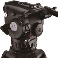 Ikan GH10L E-Image 100mm Pro Fluid Video Head 22 lbs max (Black)