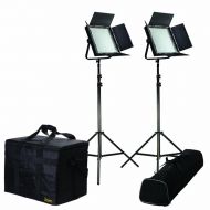 Ikan  IFD1024-SP-2PT-KIT with 2X IFD1024-SP LED Spotlight Daylight Studio Light (Black)