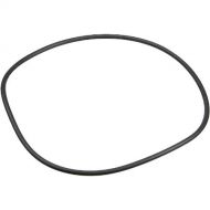 Ikelite 013423 O-Ring for PCm Lite (Replacement)