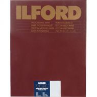 Ilford Multigrade Warmtone Resin Coated Paper (16 x 20