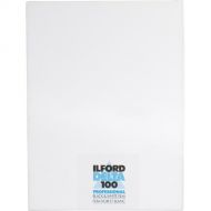 Ilford Delta 100 Professional Black and White Negative Film (12 x 20
