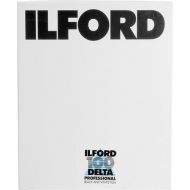 Ilford Delta 100 Professional Black and White Negative Film (4 x 5