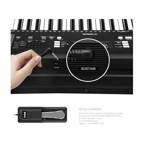  Digital Piano and Keyboard Sustain Pedal for Yamaha,Roland,Casio,Korg,Behringer,Moog - Universal Foot Pedal Black