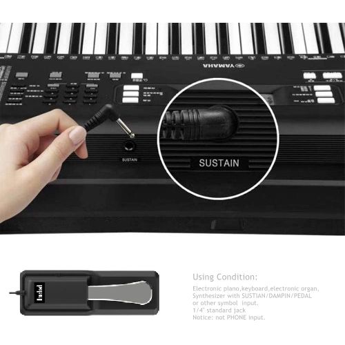  [아마존베스트]Imelod Digital Piano and Keyboard Sustain Pedal for Yamaha,Roland,Casio,Korg,Behringer,Moog - Universal Foot Pedal Black