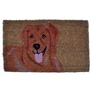 Imports Decor Golden Retriever Printed Coir Doormat, 30 by 18 by 1-Inch