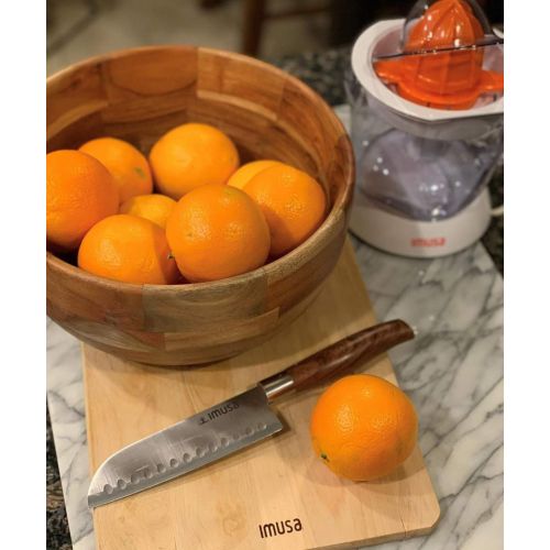  [아마존베스트]IMUSA USA GAU-80340 Electric Citrus Juicer 40-Watts, White