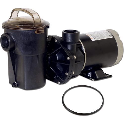  In The Swim Hayward SP1580 Power-Flo LX Series 1-Horsepower Pool Pump with Cord and Replacement Lid O-Ring - 2 Item Bundle