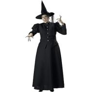 할로윈 용품InCharacter Wretched Witch Adult Costume
