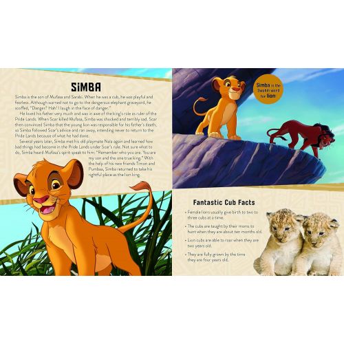  IncrediBuilds Disney The Lion King 3D Wood Puzzle &?Model Figure Kit (27 Pcs) - Build & Paint Your Own 3-D Movie Toy - Holiday Educational Gift for Kids & Adults, No Glue Required, 8+