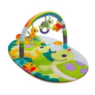 Infantino Topsy Turvy Explore and Store Activity Gym Turtles
