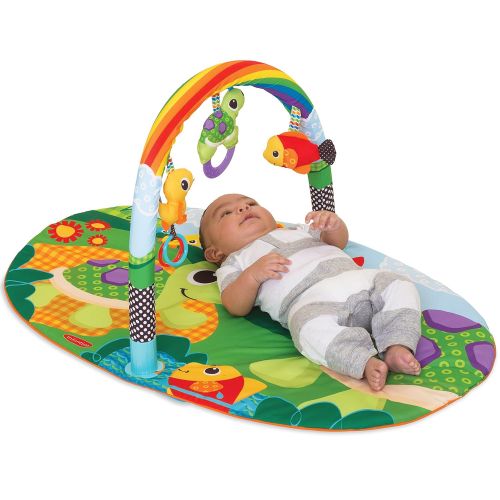  Infantino Topsy Turvy Explore and Store Activity Gym Turtles