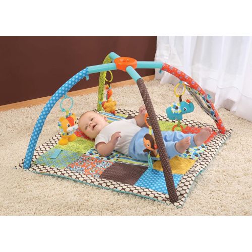  [아마존베스트]Infantino Twist and Fold Activity Gym, Vintage Boy