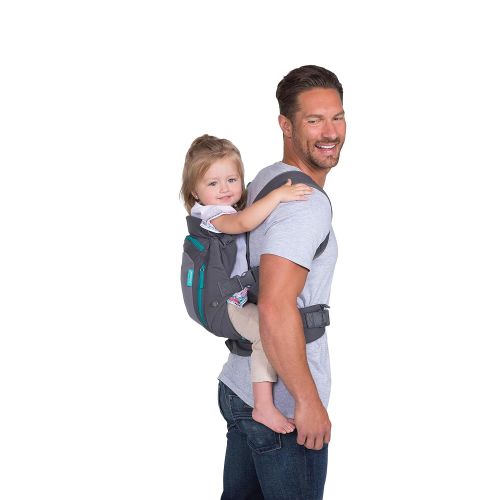  [아마존베스트]Infantino Carry On Carrier, Grey, One Size