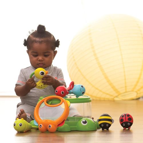  Infantino Turtle Cover Band 8-Piece Percussion Set