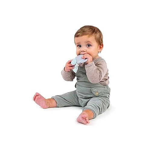 인제뉴어티 Ingenuity Teething Mitt & Rattle for Baby, BPA-Free Silicone, Gentle Rattle Sound, Adjustable Strap, Elephant, Unisex - Van