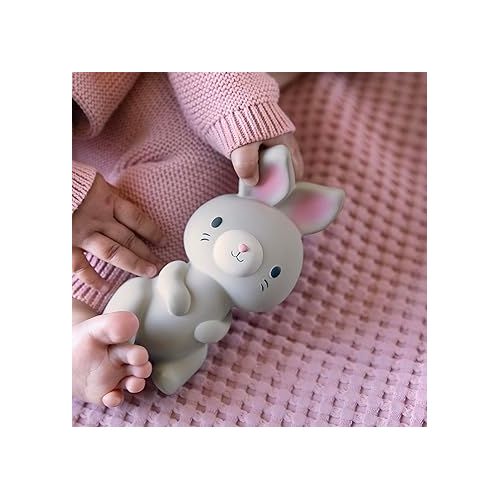 인제뉴어티 Ingenuity Sylvi Natural Rubber Teether 5.75