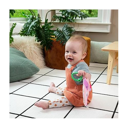 인제뉴어티 Ingenuity: ity by Ingenuity Crinklet, Raccoon Crinkle Toy for Newborn and Up, Satin Ribbon Tags, C-Link Attachment, Unisex - Deni