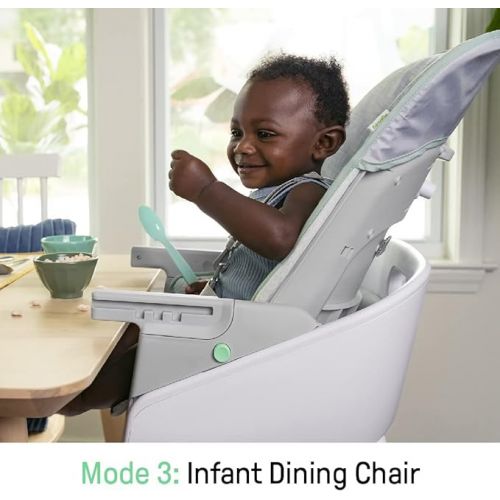 인제뉴어티 Ingenuity Beanstalk Baby to Big Kid 6-in-1 High Chair Converts from Soothing Infant Seat to Dining Booster Seat and more, Newborn to 5 Yrs - Ray