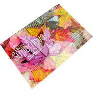 Innova Supernova Chrome Dye Sublimation Receptive PET Film (16 x 20